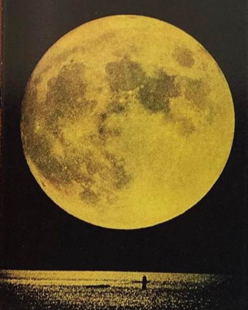 フラヴィア・ルチーニのインスタグラム：「🌝 #whenthemoonhitsyoureye like a big pizza pie ...」
