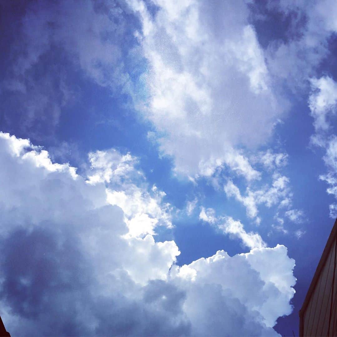 岸田繁さんのインスタグラム写真 - (岸田繁Instagram)「昨日こんなに晴れてたのにこの後チャリ漕いでたら夕立ち来てビショビショに。 猛‼︎  暑ックやったわ。」8月15日 1時28分 - kishidashigeru