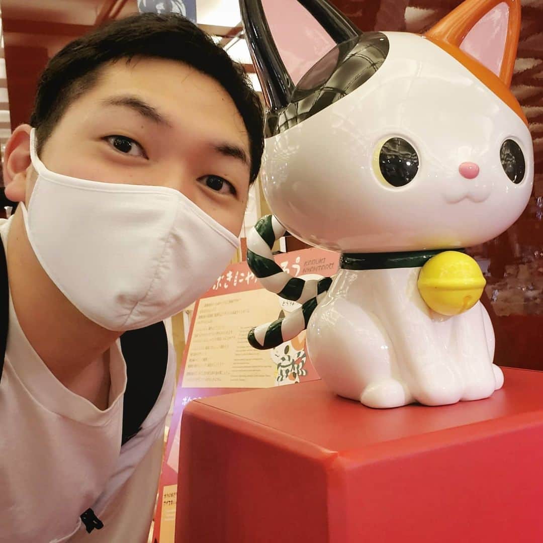 CO-DAのインスタグラム：「少し前に歌舞伎座行ってきたら、そこにいたにゃんこがめっちゃ可愛かったので、思わずツーショット！w #かぶきにゃんたろう #歌舞伎座」