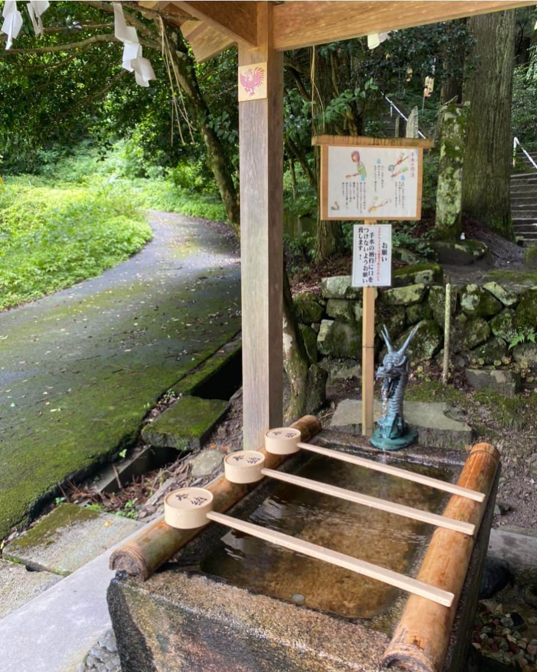 にゃんさんゴルフさんのインスタグラム写真 - (にゃんさんゴルフInstagram)「. . 鳥取駅日野郡にある 金持神社に行ってきたの！！ 読み方は“かもちじんじゃ”と読むみたい ！ マイナスイオンたっぷり！🍃  名前にあやかりたい🤤 ご利益に期待😋🤤🤣💰✨  #時差投稿#金持神社#金持神社参道#かもちじんじゃ#金持#お金持ち#お金持ちになりたい#御利益#神社#鳥取#日野郡#日野町#鳥取観光#鳥取観光おすすめ #鳥取旅行#新幹線#温泉#お酒#田んぼ#夏コーデ#夏ワンピ#国内旅行#旅行いきたい#旅行すきな人と繋がりたい #jinjya#tottori #trip」8月15日 1時30分 - miiiii0228