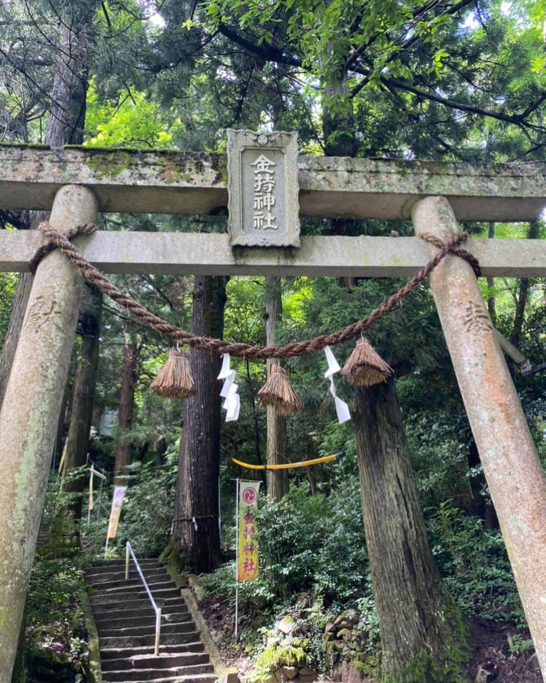 にゃんさんゴルフさんのインスタグラム写真 - (にゃんさんゴルフInstagram)「. . 鳥取駅日野郡にある 金持神社に行ってきたの！！ 読み方は“かもちじんじゃ”と読むみたい ！ マイナスイオンたっぷり！🍃  名前にあやかりたい🤤 ご利益に期待😋🤤🤣💰✨  #時差投稿#金持神社#金持神社参道#かもちじんじゃ#金持#お金持ち#お金持ちになりたい#御利益#神社#鳥取#日野郡#日野町#鳥取観光#鳥取観光おすすめ #鳥取旅行#新幹線#温泉#お酒#田んぼ#夏コーデ#夏ワンピ#国内旅行#旅行いきたい#旅行すきな人と繋がりたい #jinjya#tottori #trip」8月15日 1時30分 - miiiii0228