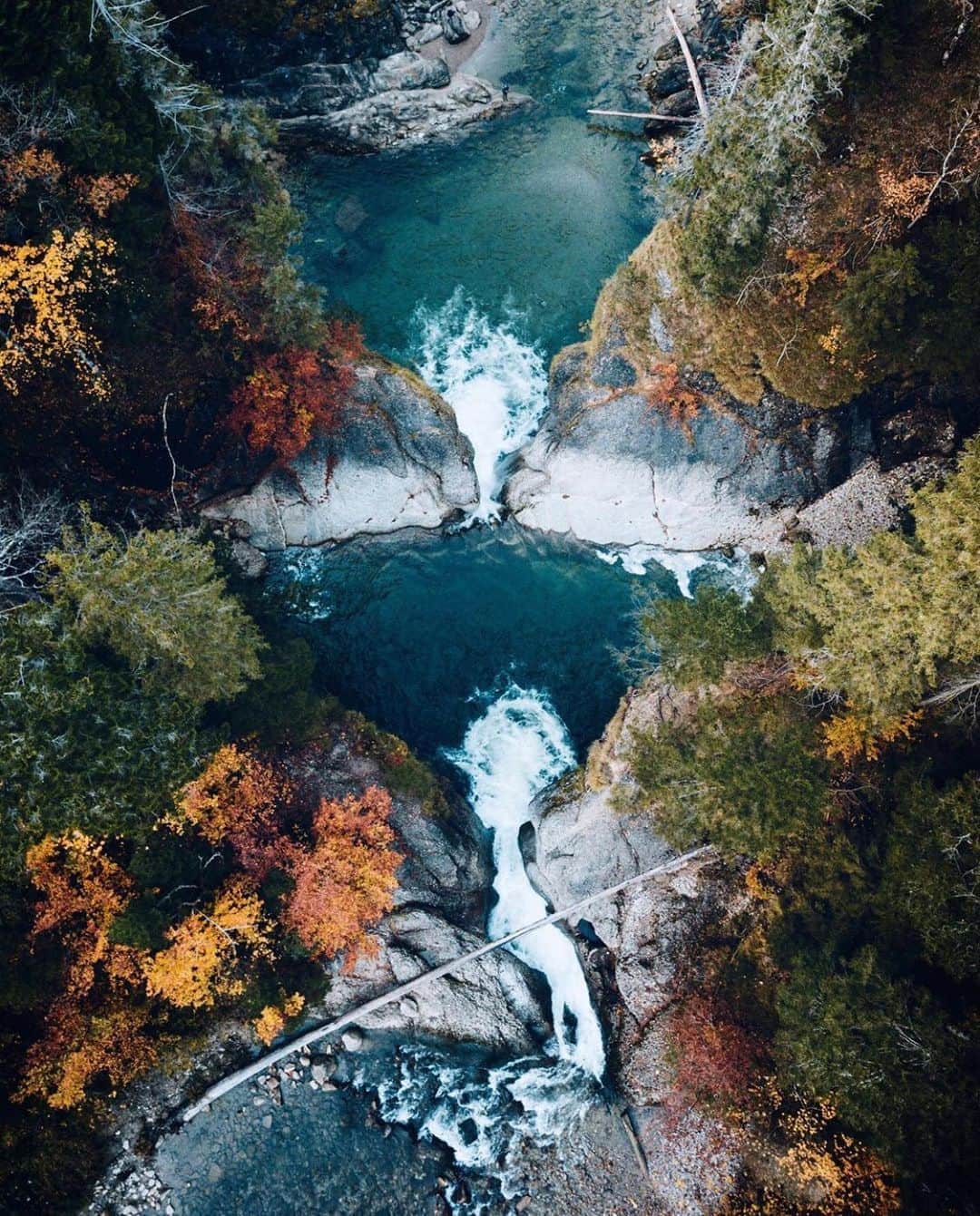 FOLKのインスタグラム：「I love how new seasons always bring new inspiration. What’s inspiring you right now? Today’s favorites: 1.) @ibdansch 2.) @j.scud 3.) @evakosmasflores 4.) @chrishenry 5.) @sheck 6.) @michielpieters」
