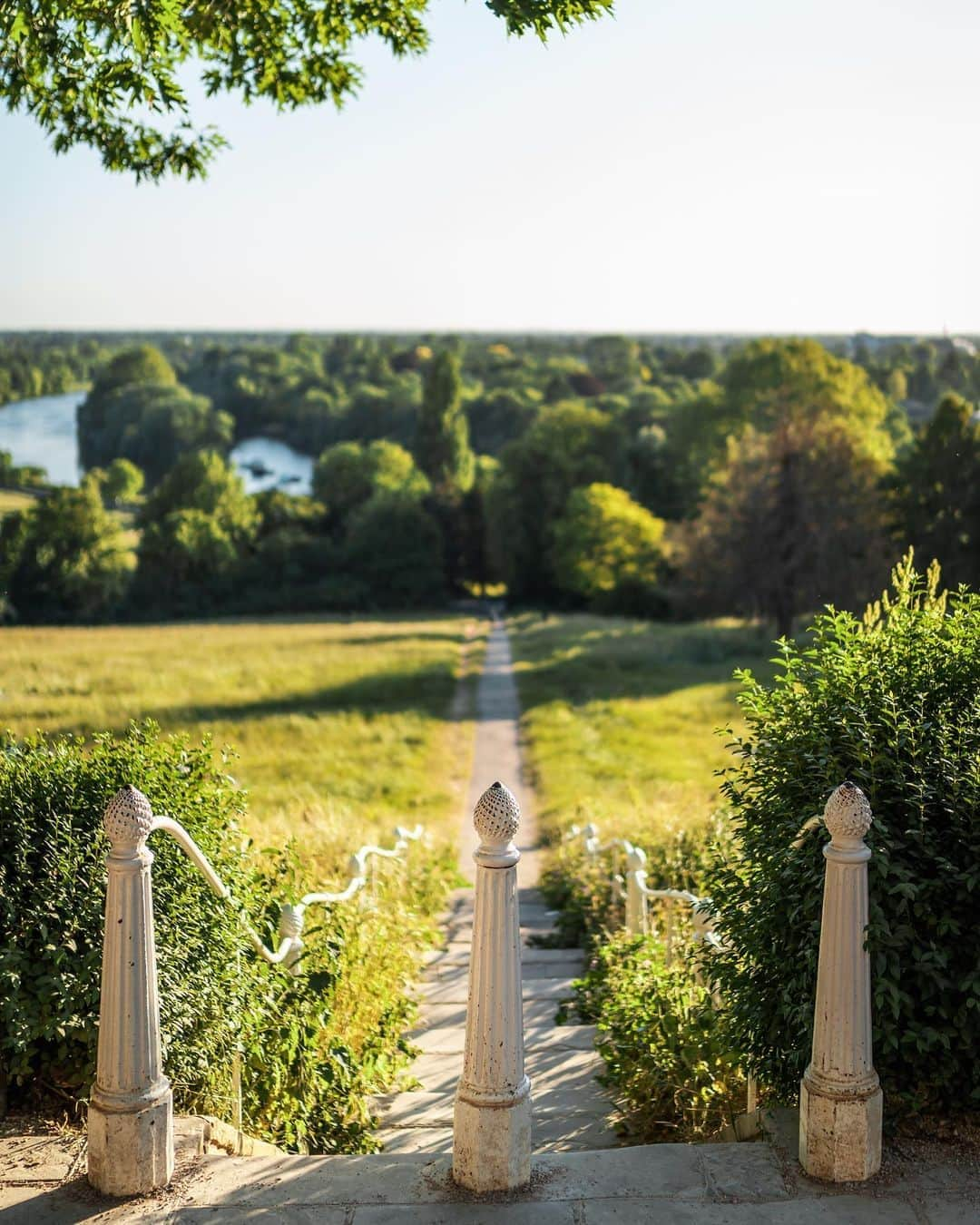 @LONDON | TAG #THISISLONDONさんのインスタグラム写真 - (@LONDON | TAG #THISISLONDONInstagram)「Well that was one crazy hot week! 🔥🥵 Anyone grateful for the cooler temp this evening?! 🙌🏼😆 Here’s some beautiful #RichmondHill and #RichmondRiverside shots from @mrlondon to take you into the weekend! 🤩❤️  ___________________________________________  #thisislondon #lovelondon #london #londra #londonlife #londres #uk #visitlondon #british #🇬🇧 #richmond」8月15日 4時18分 - london