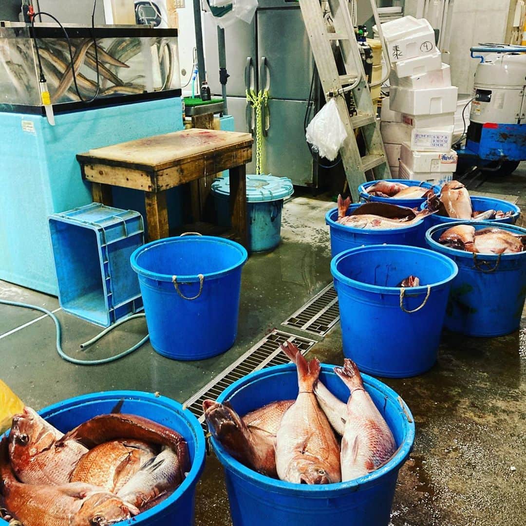 魚金さんのインスタグラム写真 - (魚金Instagram)「8月15日土曜日ー お盆の休市日でも朝早くから市場は動いています！ 鮮魚用意してくれる多くの仲買さんに感謝です  今日も残暑厳しい1日になると思います。この時間でも暑いです  本日も鮮魚仕入れてますので是非魚金で元気になって下さい  仕入部　片之坂 #錦町#新橋#玉子#居酒屋#銀座#京橋#さんま#海鮮丼#刺身#吉祥寺#オイスター#池袋#さんま#ぶり#刺身盛り合わせ#パエリア#渋谷#魚好きと繋がりたい #レモンサワー#始めました#神楽坂#横浜グルメ#飲酒タグラム#野菜たっぷり#日本酒好きな人と繋がりたい #鯛#マダコ#ステーキ#鳥 #yummy」8月15日 4時53分 - uokin_koho