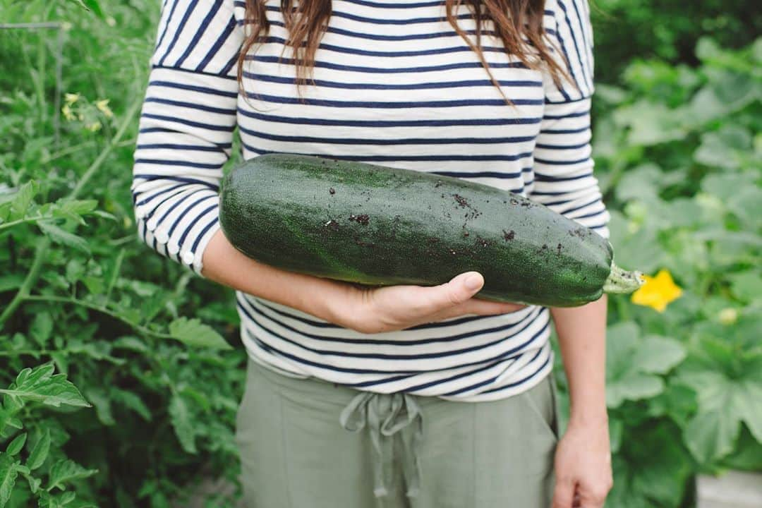 ティファニー・ティーセンさんのインスタグラム写真 - (ティファニー・ティーセンInstagram)「I grew this. #funfacts #zucchini #growyourownfood」8月15日 5時32分 - tiffanithiessen