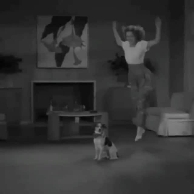 シャニン・ソサモンのインスタグラム：「Let's try, Frankie!  #REPOST @thiswashollywood」