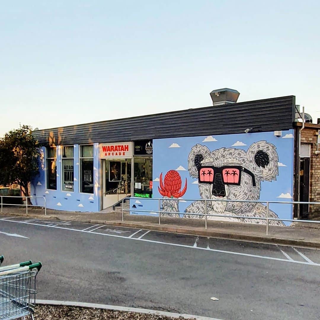 MULGAさんのインスタグラム写真 - (MULGAInstagram)「Introducing Waratah Wazza the Koala, I painted him on Waratah Arcade in Engadine on the wall facing the Coles carpark.⁣⁣ ⁣⁣ The story of Waratah Wazza the Koala 🐨 ⁣⁣ ⁣⁣ Once there was a Koala called Warrick and he was heaps good at flowers and when he grew up he opened up his own florist called Wazza's Waratahs and all he sold was waratah flowers because they were his favourite kind of flower because one day when he was a little koala dude he was heaps high up in his eucalyptus tree munching on eucalyptus leaves when a big gust of wind came along and he lost his grip and fell out and was hurtling towards earth towards certain death when he landed in a waratah tree which saved his life. From then on in he was all about the waratah and opening a waratah only flower shop was a natural progression. ⁣⁣ ⁣⁣ The End⁣⁣ ⁣⁣ Cheers to @tint.paint for the pigments and @blokeahontas, @itsa_dali_art and @stormsoulartworks for the help painting and @bradlord for the commission 🎨🙏. ⁣⁣ ⁣⁣ #mulgatheartist #waratahwazzathekoalasfavouritekindoffloweristhewaratah #koala #koalaart」8月15日 7時31分 - mulgatheartist