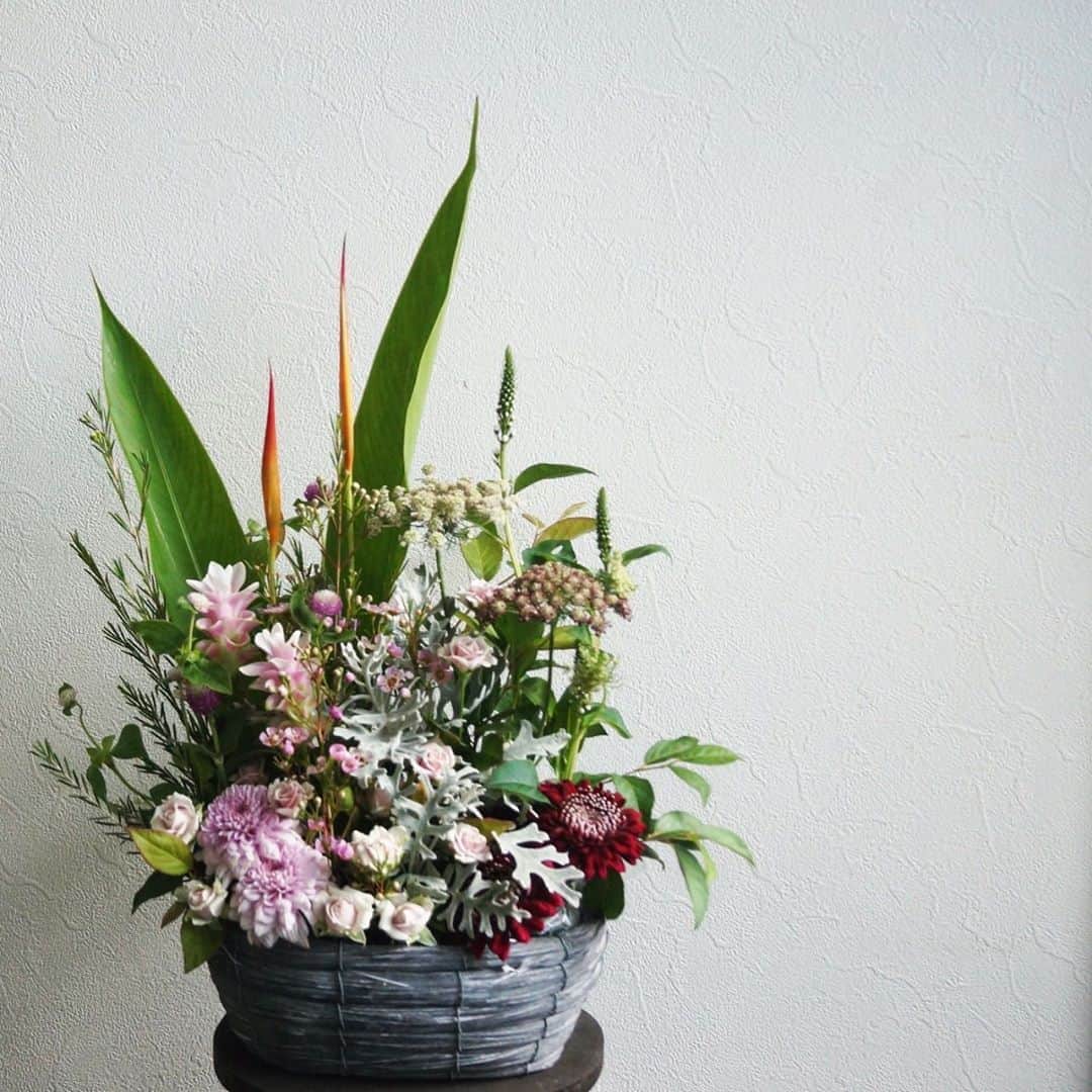 MILLE ECLAT.のグルメインスタ