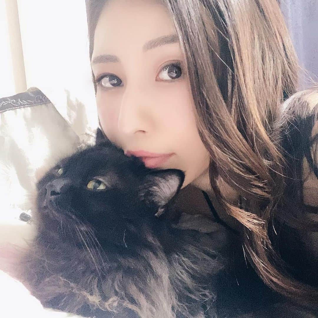 青山千夏さんのインスタグラム写真 - (青山千夏Instagram)「ベルちゃんとラブラブ写真🐈✨ 大好きすぎる😫❤️ . . . . . #ベルちゃん #ベルベット #ミヌエット #猫 #猫のいる暮らし #猫好きさんと繋がりたい #猫好き #猫のいる生活 #cat #catstagram #catsofinstagram #catlover #cats #cats_of_day #cats🐱」8月15日 17時35分 - chinatsu_aoyama0819