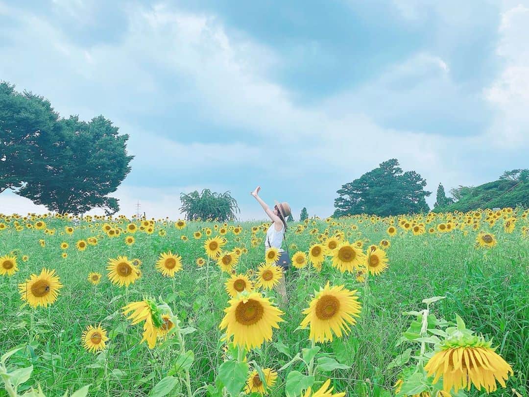 星野麻里愛のインスタグラム