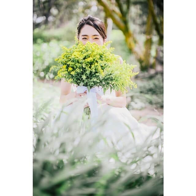 ハワイフォトウェディングのCheers Weddingのインスタグラム