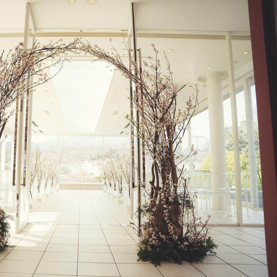 アマンダンヒルズのグルメインスタ