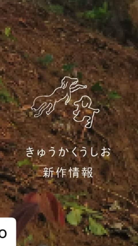 森山未來のインスタグラム：「#Repost @kyukakuushio with @make_repost ・・・ 明日2020年8月15日(土)、きゅうかくうしおは、プライベートスペースYamahにて「地鎮パフォーマンス」を無観客・無配信で行います。内容は後日報告予定！（宣伝美術 矢野）  #きゅうかくうしお #kyukakuushio #新作情報 #Yamah #ヤマー #地鎮 #誰も来れないし観れません」