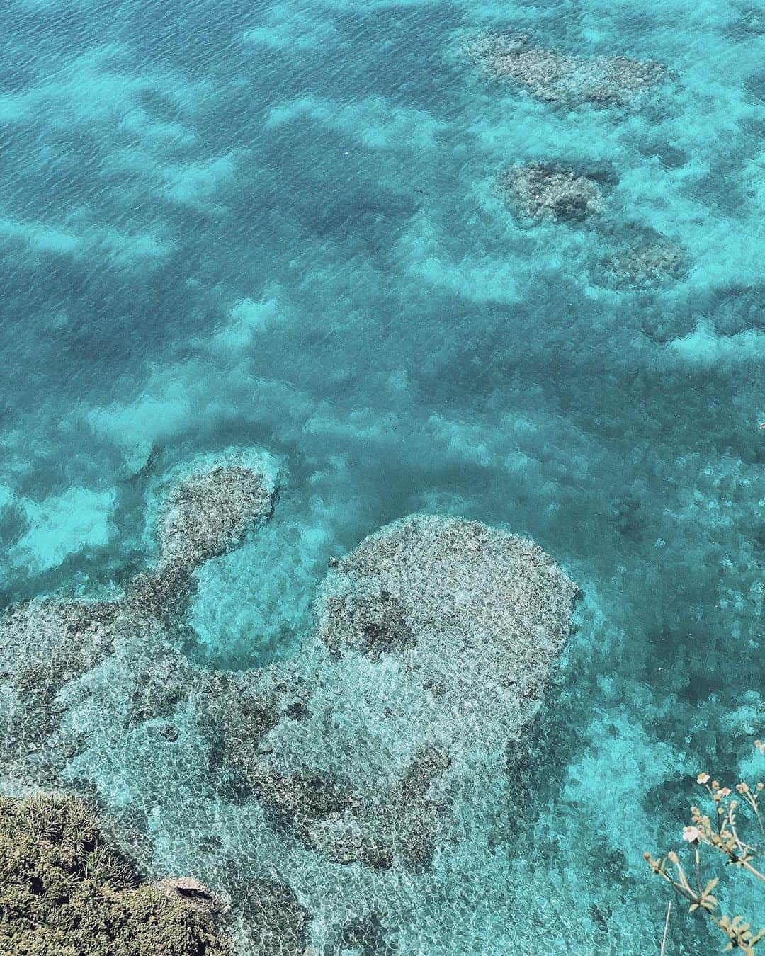 三浦大地のインスタグラム