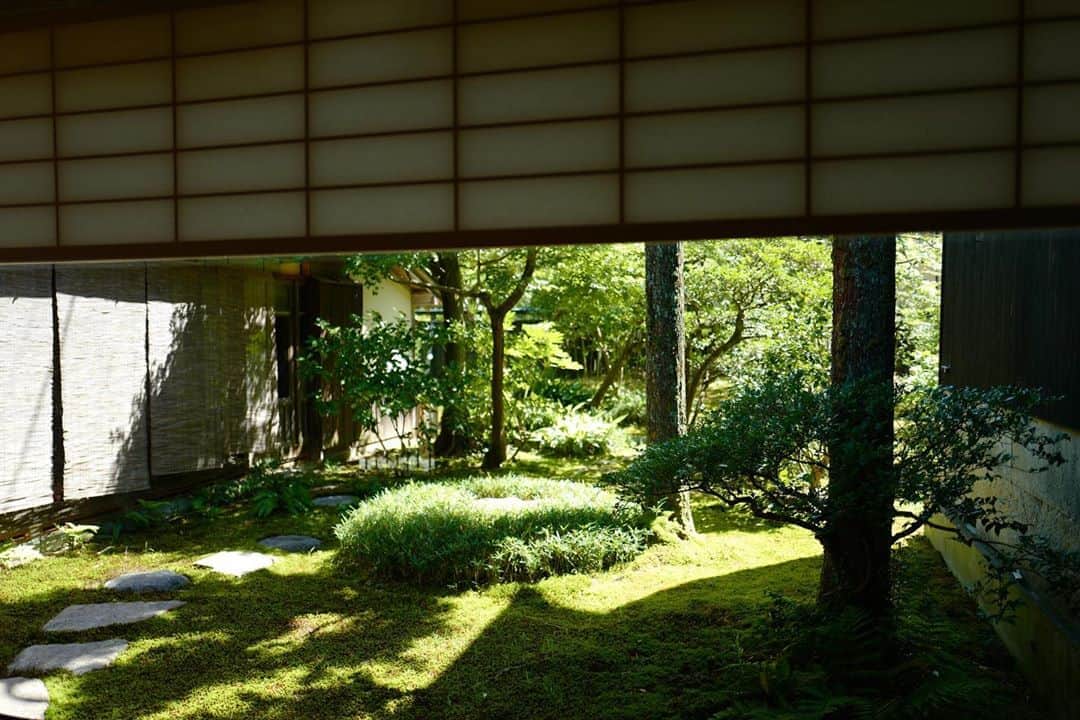 行方 久子 Hisako Namekataのグルメインスタ