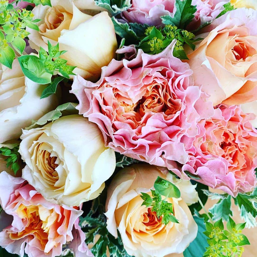 とよた真帆さんのインスタグラム写真 - (とよた真帆Instagram)「世界が平和でありますように  #終戦記念日 #平和  #願い  #ありがとうございます  #花 #flowers  #love  #peace」8月15日 10時43分 - maho_toyota