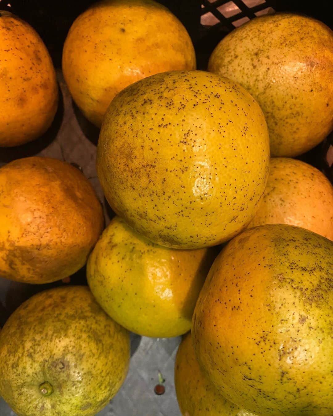 Sunshine Juiceのグルメインスタ