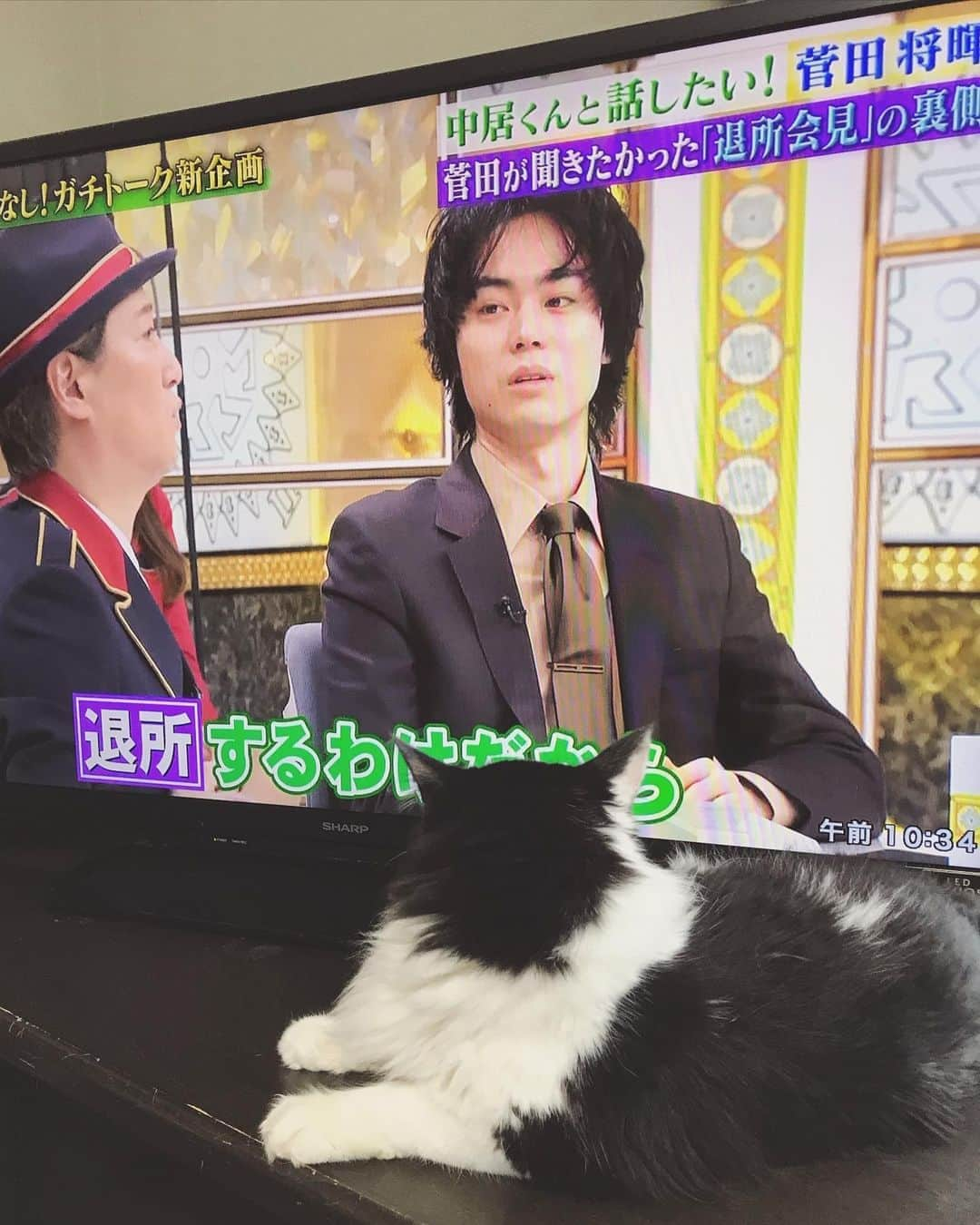 もじゃころさんのインスタグラム写真 - (もじゃころInstagram)「背後に犬の気配を感じる…🐶  なんだ俺か…🐶  #坂東玉隠しシャシャ丸  #菅田将暉」8月15日 11時22分 - mojyacoro96