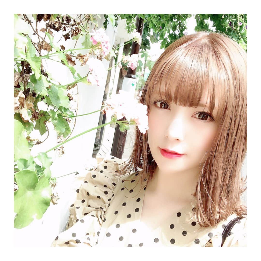 雪森れいらのインスタグラム