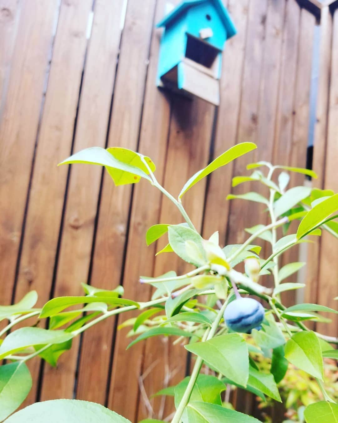 谷口キヨコのグルメインスタ