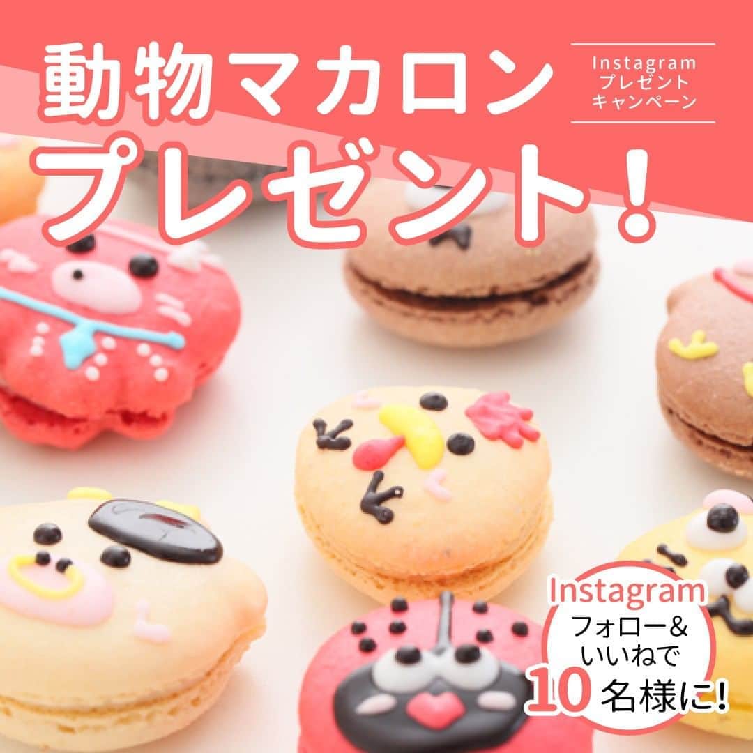 Cake.jpのインスタグラム