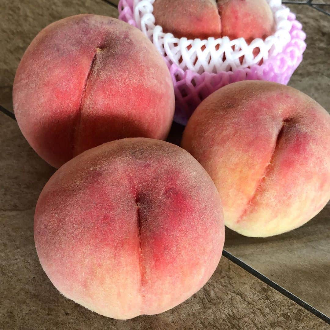 千秋さんのインスタグラム写真 - (千秋Instagram)「桃集団🍑 桃ってほんとにおしりみたい💓 桃は大好き。桃味のお菓子は苦手。 昔はメロン味のお菓子は好きで、メロンは苦手だった（今はメロン全体が好き）🍈 不思議。  #桃 #peach #🍑 #千秋fruit」8月15日 12時36分 - chiaki77777