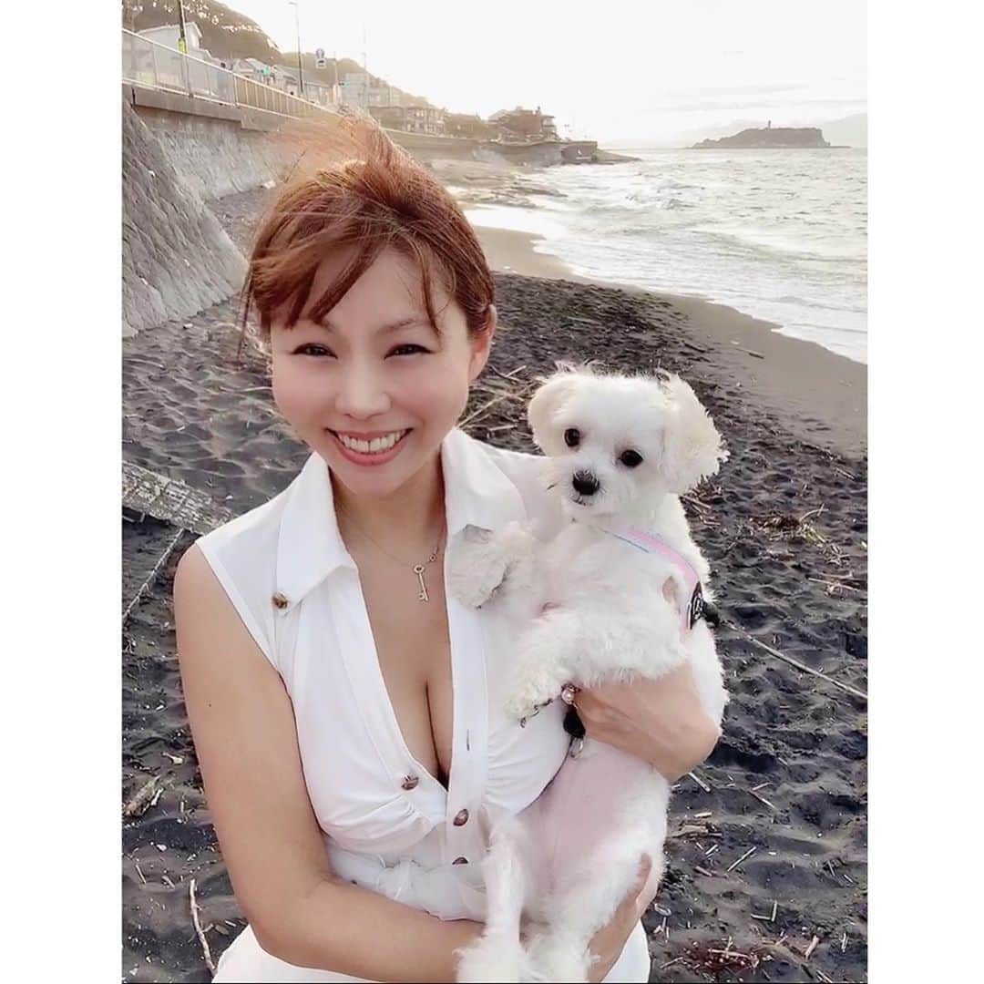 のインスタグラム：「【自分が光ること🌟】 . 本氣かどうかは伝わる。 . 屁理屈よりも本氣度。  （あなたの本氣度が見られている） . . .… 先日、わたしの尊敬している経営者の方（大先輩）と話していて、その方が言ってたことが印象的だった。 . それは、 「能力、学歴、資格より本氣度が一番大事。本氣で取り組んでいる人達にとって、本気じゃない人と戯れている時間はない」と。 . . 本当そう思う。 （わたしもスタッフを採用するとき、能力とか 学歴より、エネルギーや本人の本氣度を重要視しています） . . そういえば、 稲盛和夫さんも、 『「不燃性」の人は会社にいらない』と ご本人の著書に書かれていましたし、 不燃性って周りにも良くない影響を及ぼしますから、稲盛和夫さんも「誰と一緒に仕事をするか」を大切にされていることが伺えます。 . . . 恋愛にしたって同じよね。 . 以前、私のセッションを受けた友人でもある男性から「どうしてもお付き合いしたい女性がいる。何がアドバイスを」って頼まれた私は、「本氣度が大事。口先だけ熱いのは1番アウトだから口先より行動。本氣度は伝わるよ」って話した。 . で、彼の本氣度と誠実さが 見事に彼女のハートを射抜きました♡ . . …… 本氣って、 何も力むことじゃなくて、 読んで字の如く「本当の氣」であり、 心を込めること。 . . . 何にしてもそうだけど、 . 不器用でも不格好でも 心を込めて ひたむきに 本氣でやっている人って その時点で、なんかもう 光が差しているのだと思う💫 . . …… そういえば 子供も動物もすべての生命体は 瞬間瞬間を 本氣で生きている。 . . これからは 瞬間瞬間を より自分とつながり 本物の叡知と愛を（愛ダダ漏れで） 生きていくとき。 . . そして、神頼みより 自分が神となって、 創造していく時代。 . 一人の光りに その他大勢が群がるのではなく、 一人一人が光る時代。 （私の過去のPodcastの仕分けをしてたら、 2〜3年前から言ってた👂^ ^） . . 自分が光ること🌟 . それは、 特別な何かになることではなく あなたがあなたであること。 . . . 今朝も御釜でご飯を炊きました🍚 もう、ほんと美味しい！♡ . …… #本氣 #伝わる #本氣度 #稲盛和夫さん #不燃性 #口先より行動 #エネルギー #心を込める #本当の氣 #ひたむき #瞬間瞬間 #自分とつながる #叡知 #自分が神 #創造 #一人一人が光る #自分が光る #愛ダダ漏れ #あなたがあなたであること #マルチーズ大好き #ワンコと海 #御釜 #本田裕子」