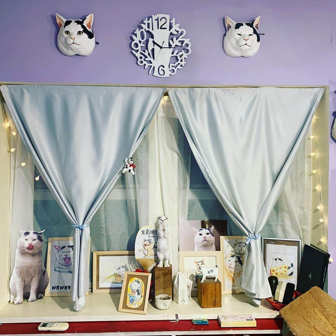Kachimo Yoshimatsuさんのインスタグラム写真 - (Kachimo YoshimatsuInstagram)「出窓のナナクロコーナー。 #うちの猫ら #ナナクロ #猫 #ねこ #cat #ネコ #catstagram #ネコ部 http://kachimo.exblog.jp」8月15日 13時03分 - kachimo