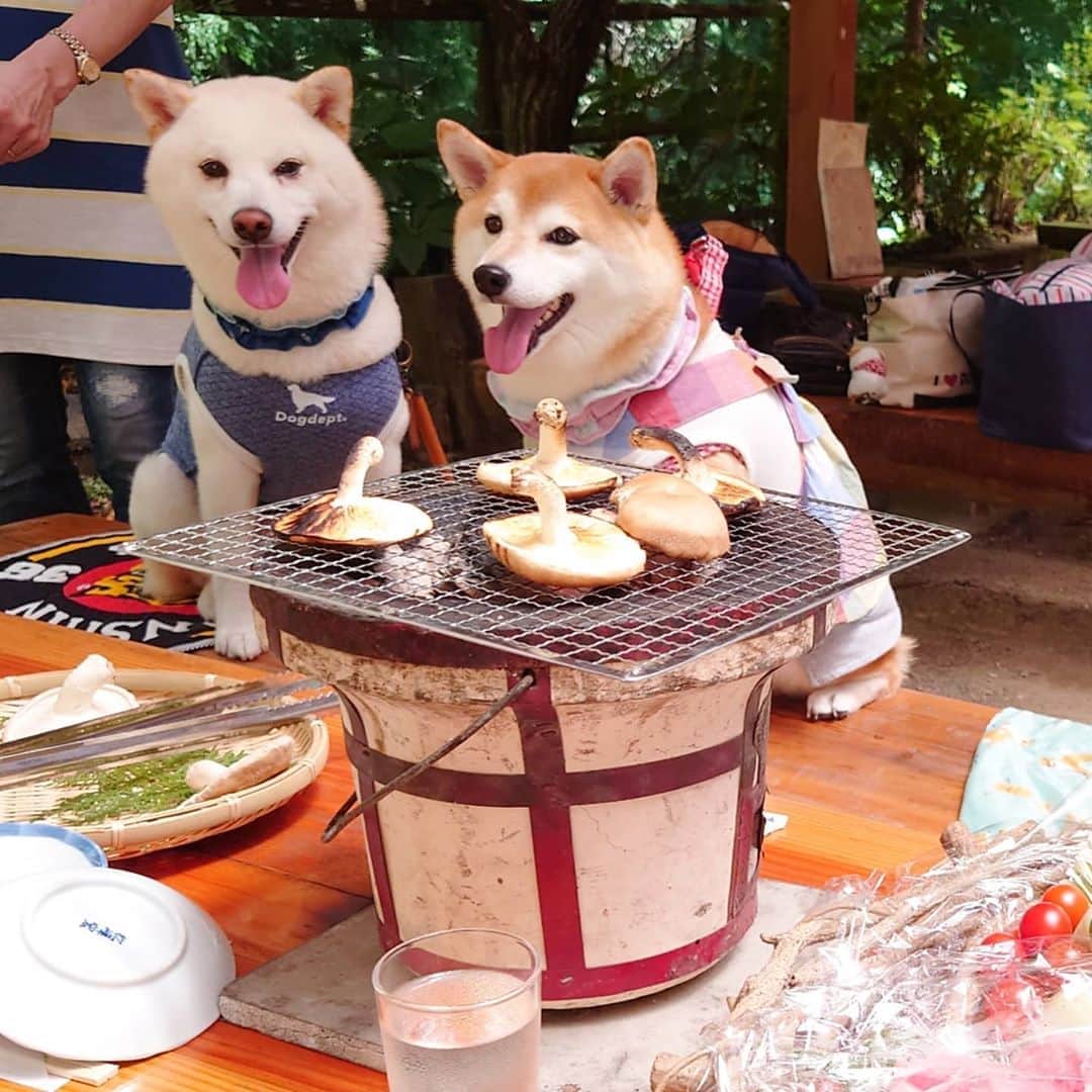 ちゃみのグルメインスタ