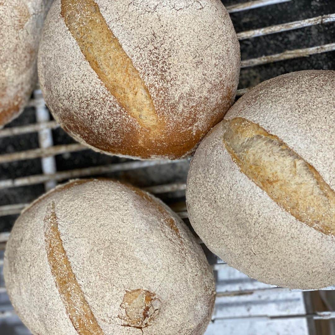 魔女菅原のグルメインスタ