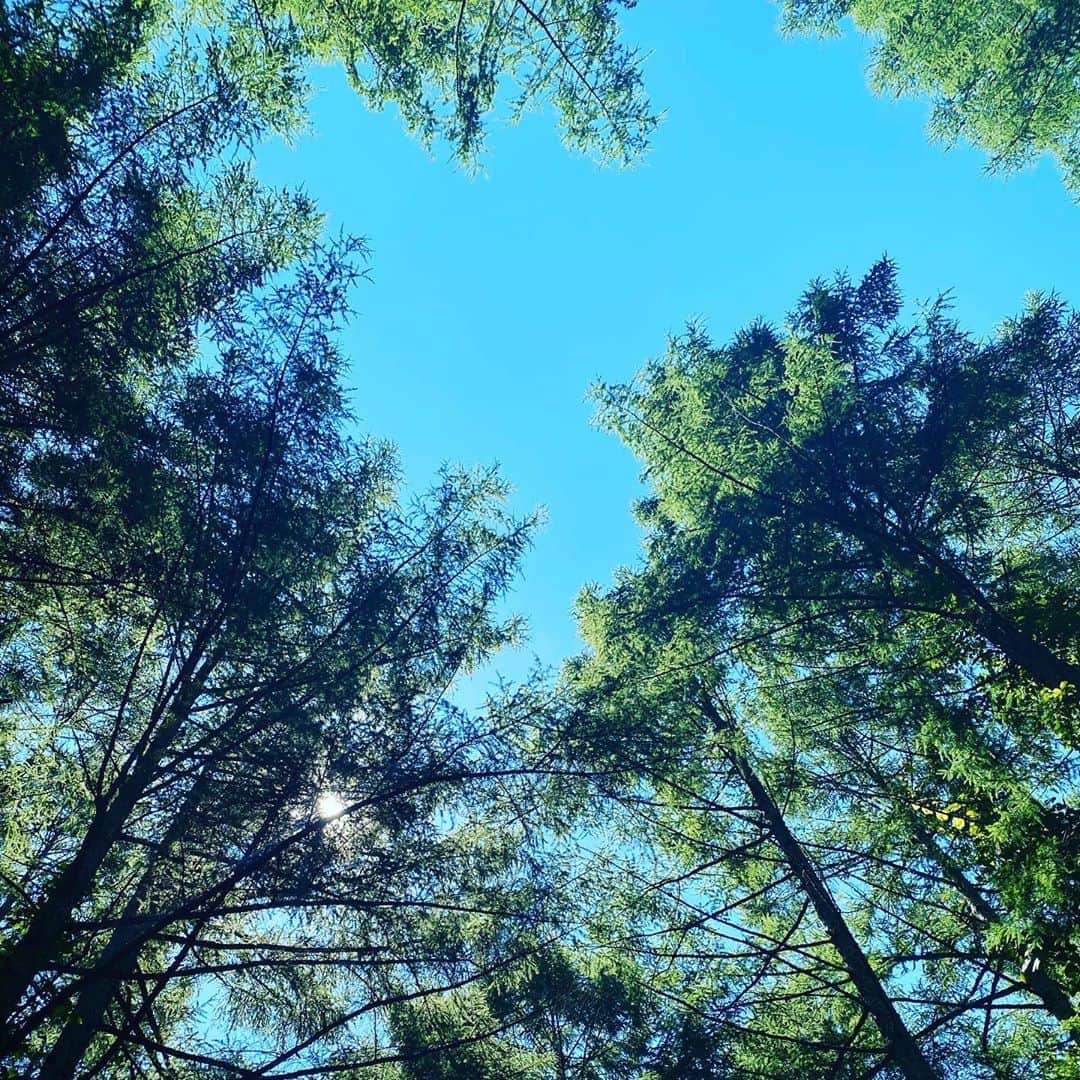 板谷由夏 さんのインスタグラム写真 - (板谷由夏 Instagram)「ロケが続いています。 とにかく暑いけど、森の空気に 癒されました。」8月15日 19時08分 - yukaitaya