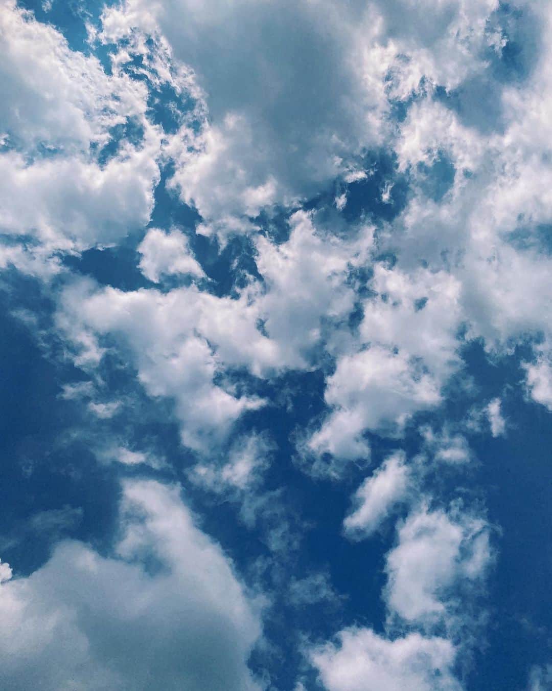 櫻愛里紗さんのインスタグラム写真 - (櫻愛里紗Instagram)「あ、夏だ。」8月15日 13時46分 - sakura.arisa_official