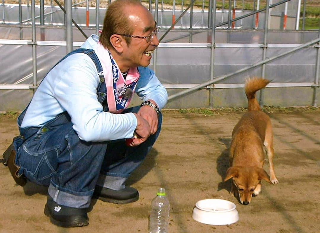 天才！志村どうぶつ園のインスタグラム