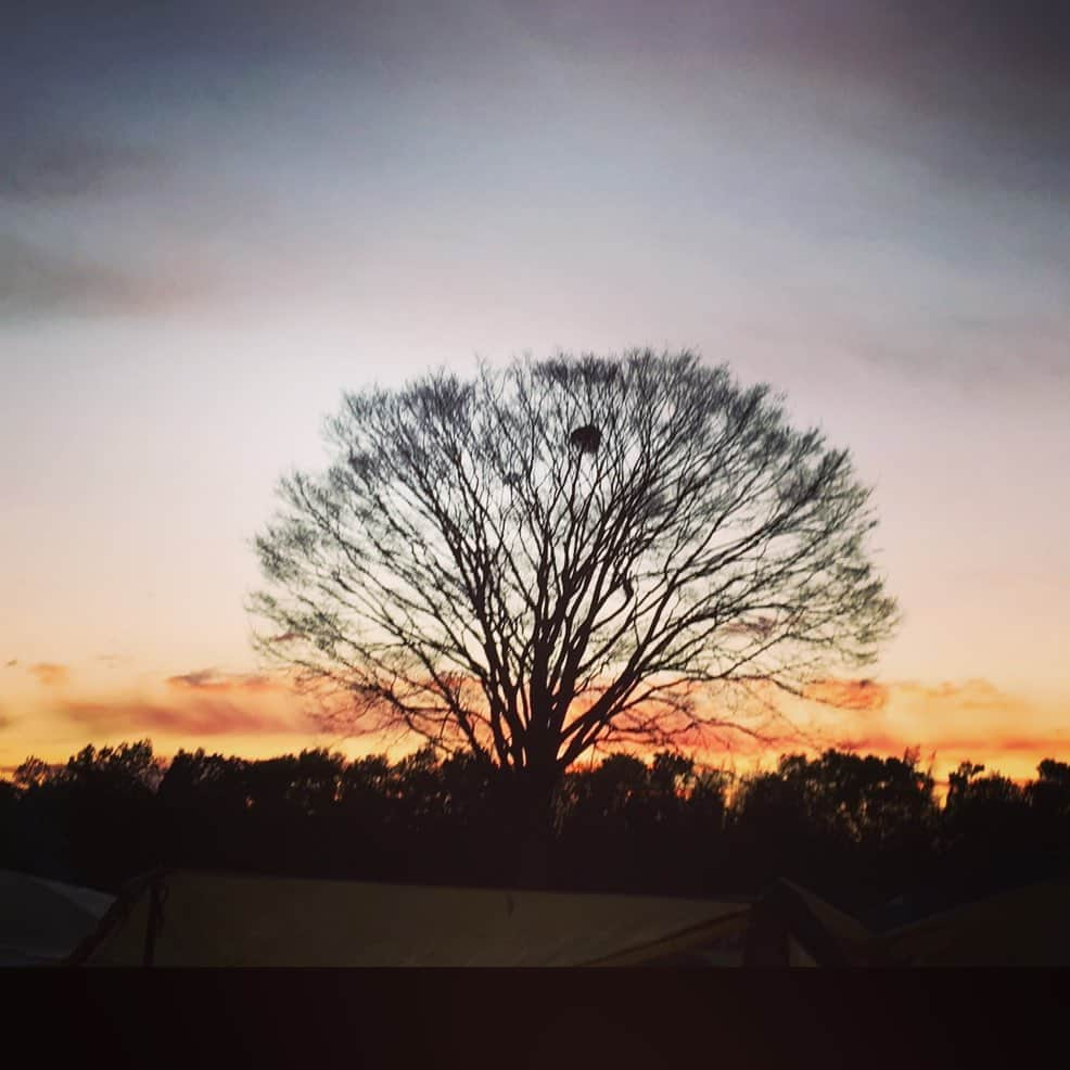 光永亮太さんのインスタグラム写真 - (光永亮太Instagram)「愛してやまないもの。  #beautifulsunset #sunset #orange #sky #nature #sun #sentimental #tree #love #夕焼け #夕焼け空 #コントラスト #オレンジ #空 #センチメンタル #夕焼けフェチ #夕焼け空 #夕焼けハンター #ロマン #インスピレーション」8月15日 14時05分 - mitsunagaryota