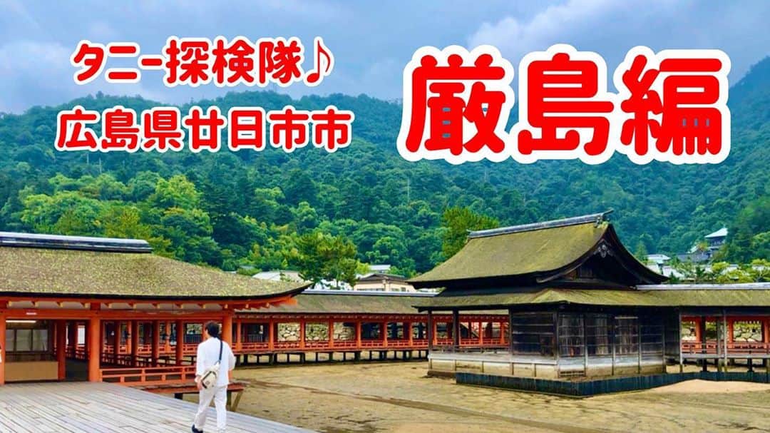 谷本貴義のインスタグラム：「タニー探険隊♪ 「広島県　厳島編」  youtu.be/Ax2su9_Fsow 広島の世界遺産、厳島へ行ってきました。ひさびさのディープな探険をしてきたよ！  プロフィールのリンクから♪」