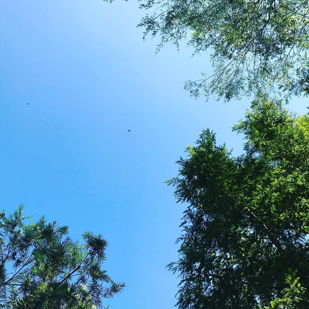 丸山敬太さんのインスタグラム写真 - (丸山敬太Instagram)「蝉の声 灼熱の日差し どこまでも青い空 遠くから聞こえる誰かの話す声  平和を祈る日」8月15日 14時34分 - keitamaruyama