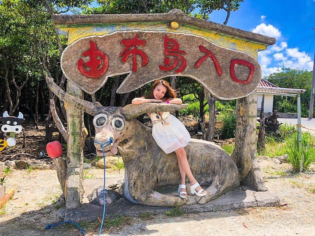 のインスタグラム：「灼熱の由布島へ🐮❣️ とっても可愛い島😍❤️  どの島よりも暑すぎて 数分ごとにお土産屋さんに逃げ込んで呼吸整えながら写真撮ってた😂😳☀️笑  #由布島#由布島水牛車#西表島#西表島旅行#水牛#水牛車#水牛車🐃#水牛車で由布島へ#島唄#牛さん#南国植物#南国#女子旅#女子旅行#由布島入口#ういらぶ沖縄#ういらぶ沖縄フォトコン  #okinawa#okinawajapan#okinawatrip#iriomoteisland#waterbuffalo#Buffalocart#Crossthesea」