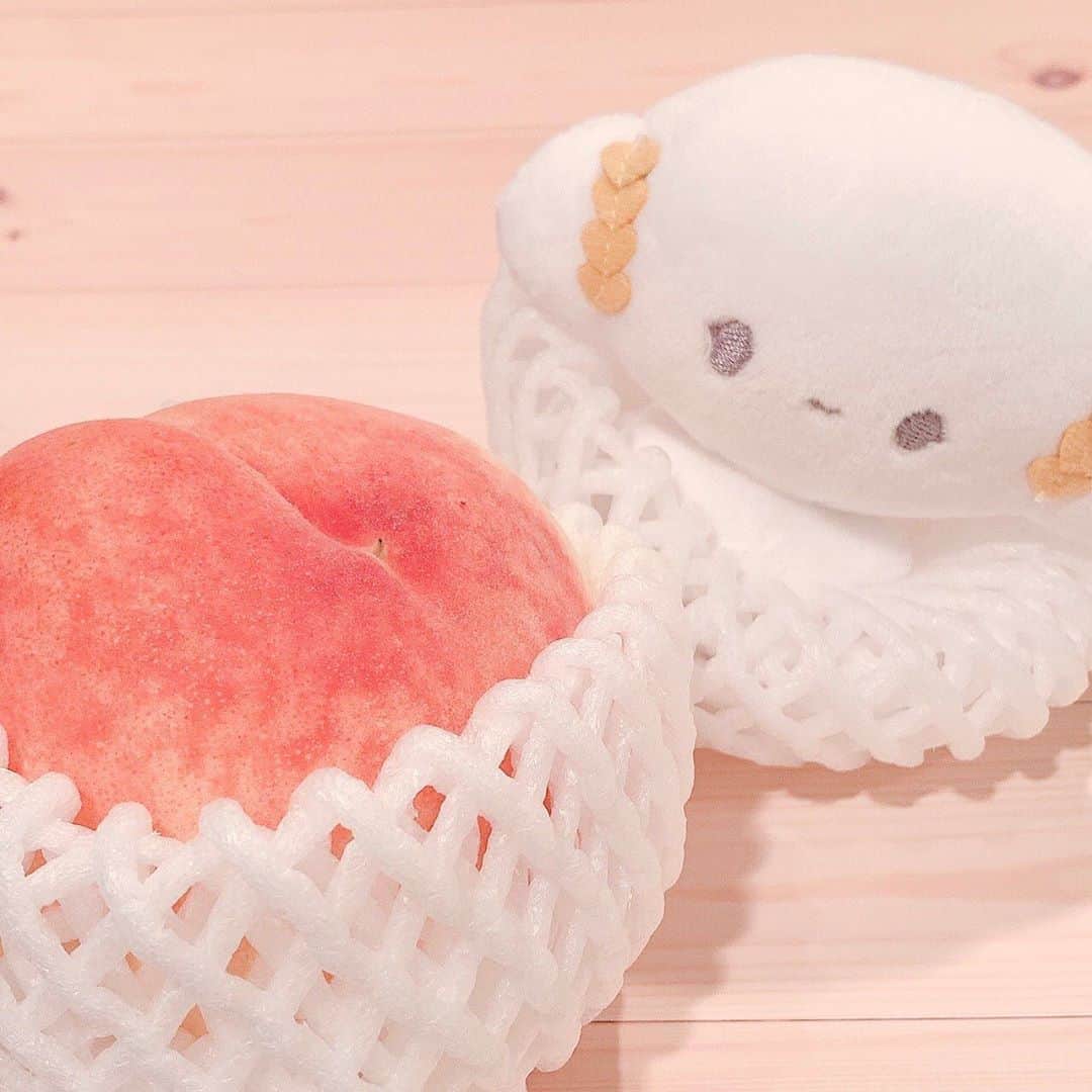 こぎみゅん（サンリオ）のインスタグラム：「食べごろだみゅん･･🍑  #サンリオ #キャラクター #小麦粉の妖精 #こぎみゅん #sanrio #character #cogimyun #桃 #🍑 #夏 #8月」