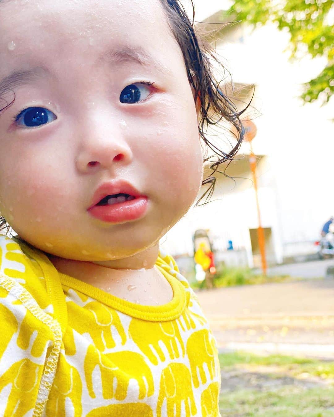 菊井彰子のインスタグラム