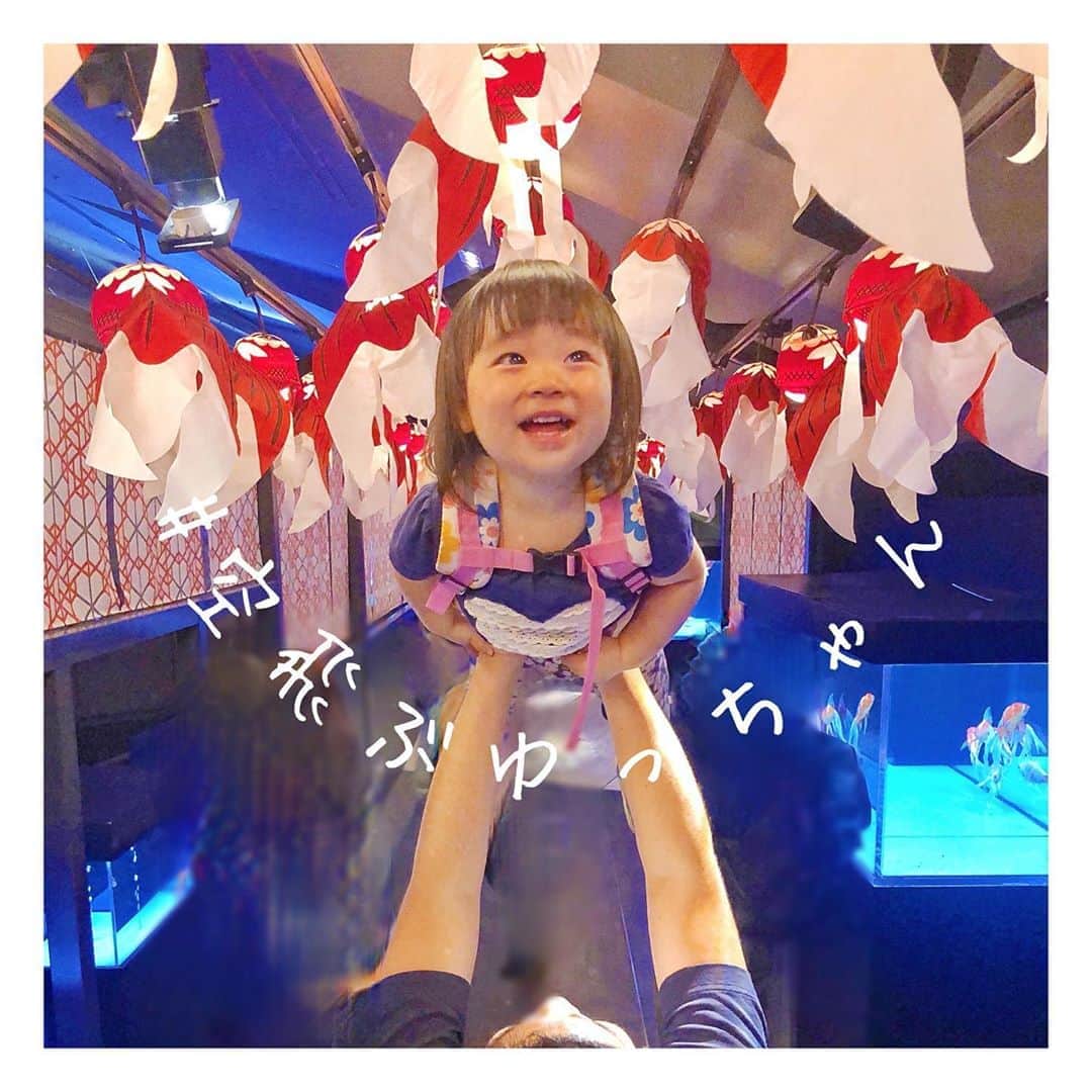 mamamizu.32のインスタグラム：「#ゆっちゃんの夏休み2020﻿ ﻿ ﻿ ﻿ ﻿ #空飛ぶゆっちゃん シリーズ46﻿ in すみだ水族館﻿ ﻿ ﻿ ﻿ すみだ水族館を駆け回って﻿ 私は疲労困憊でした（笑）﻿ いつも出かけると後半の私顔死んでる笑﻿ ﻿ ﻿ ﻿ 最近ゆっちゃんと遊んだことある方は﻿ 分かると思うんだけどほんとーに﻿ 暴走族です( ˊᵕˋ ;)💦暴れ走るとはまさにこれ﻿ いつか迷子もやりそうだなぁ〜😂﻿ ﻿ ﻿ ﻿ ﻿  #水族館大好き  #生き物大好き  #動物園好き #館内暴走 #どこからそんなエネルギー出てるの #しつけが大変だ #子ひとりで手一杯なんですけど #2人目問題  #いつになるんだか」
