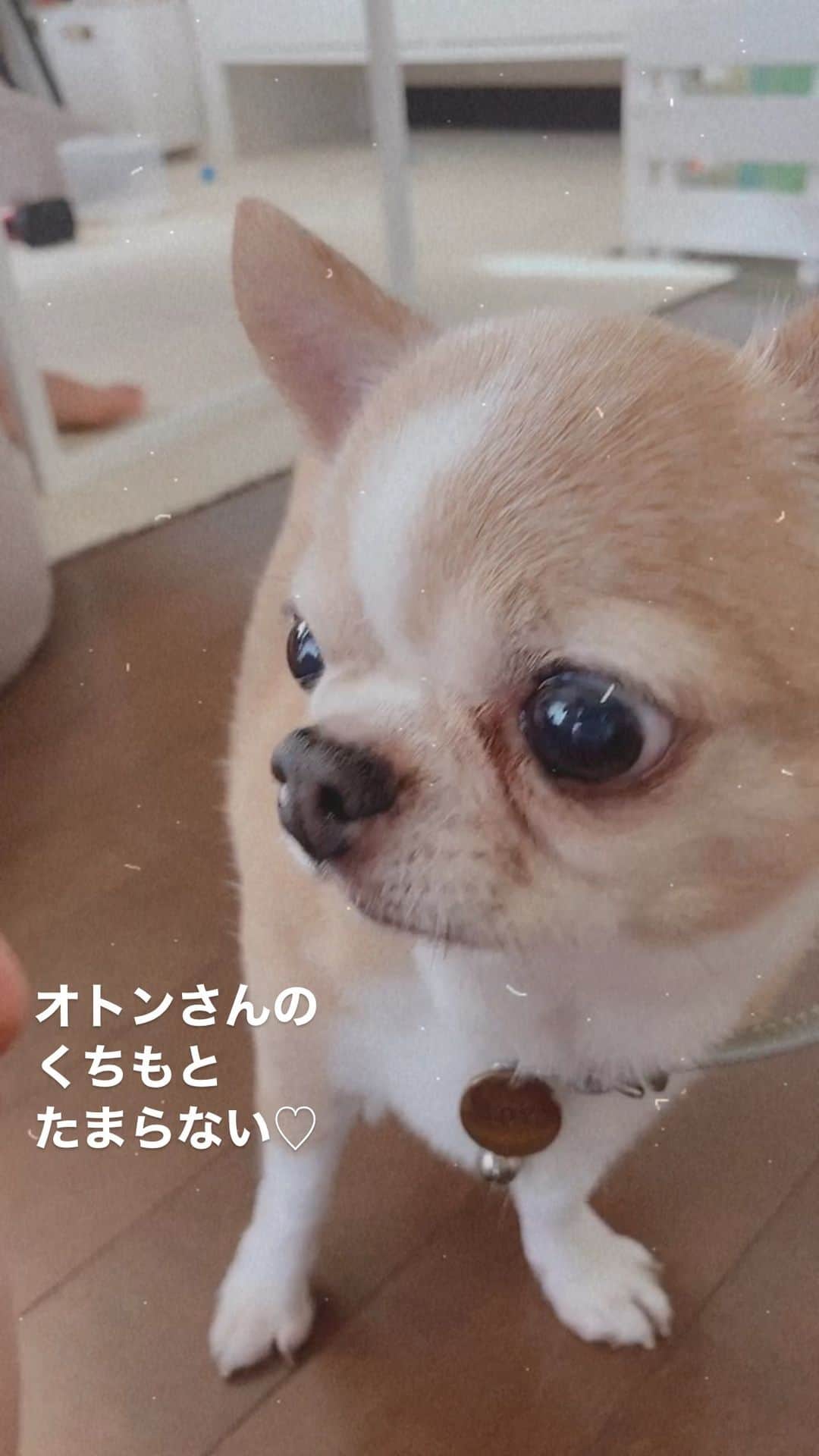 maika_kikitoyjijiのインスタグラム