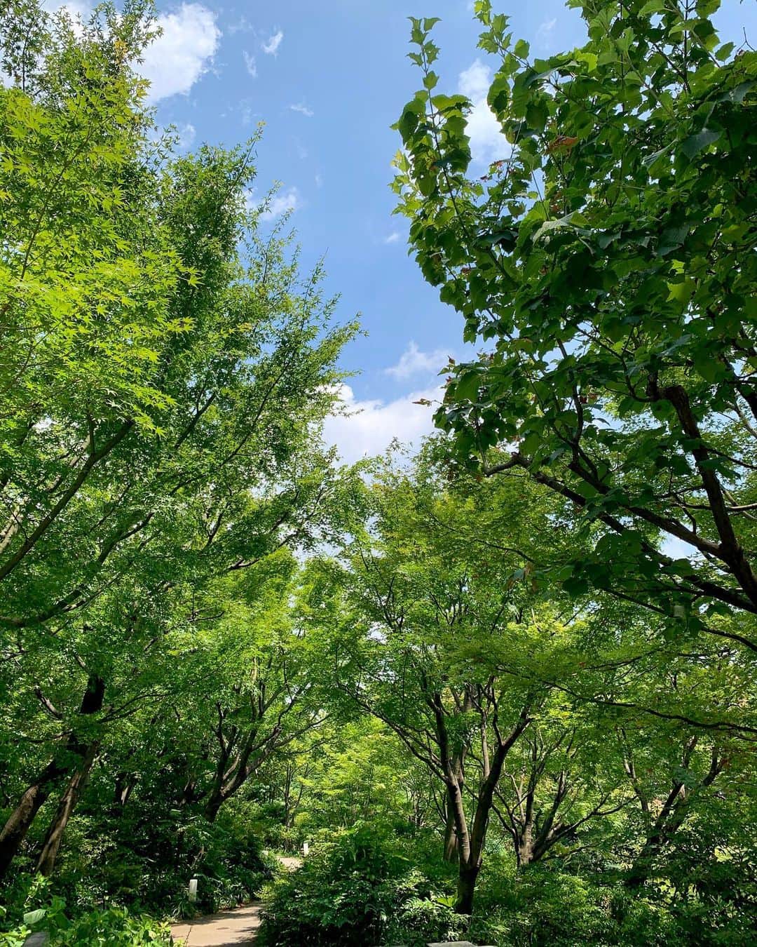 のインスタグラム：「* 今日も暑かった〜🌞 毎日猛暑で 暑さ対策、熱中症対策が 欠かせませんね🥵 * Abema勤務中は Abema Waterに クエン酸チャージして 水分補給していまーす🙋🏼‍♀️ * 少し日差しがおさまってきたので スーパー行こうかな😋 * #猛暑 #酷暑 #熱中症 #熱中症対策 #ナレーション #アナウンサー #abematv」