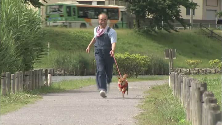 天才！志村どうぶつ園のインスタグラム