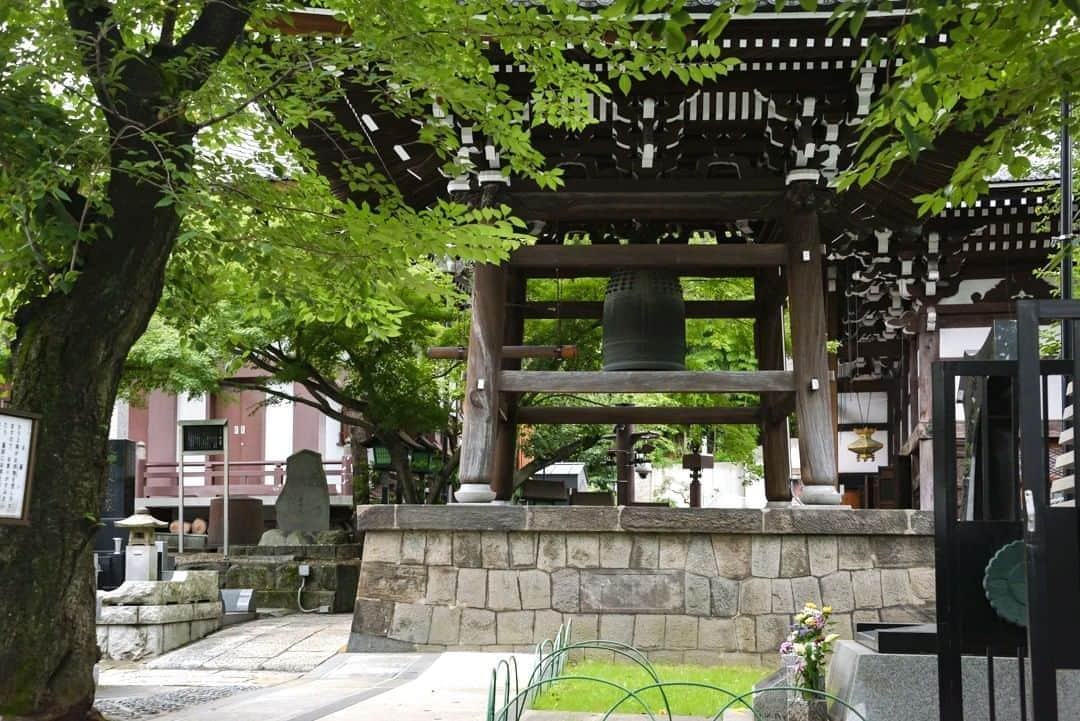 東京都庁広報課さんのインスタグラム写真 - (東京都庁広報課Instagram)「「麻布山 善福寺 Azabusan Zenpuku-ji Temple(2020.7.29撮影)」最寄り駅：麻布十番駅 　#麻布 #麻布十番グルメ #麻布十番カフェ #麻布十番商店街　#イチョウ　#港区　　　 #tokyotokyo #tokyogram #moodygrams #jp_gallery #ptk_japan #gdayjapan #realtokyo #beautifuldestinations #tokyojapan #instatokyo #loves_nippon #phos_japan #bestjapanpics #cooljapan #japan_of_insta #photo_jpn #illgrammers　 #景色 #東京 #Tokyo #东京 #도쿄 #tokyogood」8月15日 17時01分 - tocho_koho_official