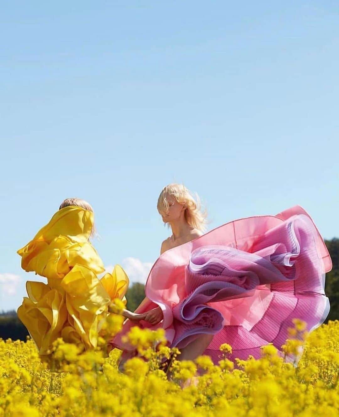 のインスタグラム：「NINA RICCI  お花畑にお花ドレス💐🌼🌸  @ninaricci  @iza_official  SHOPIZA.com #repost @lisiherrebrugh ・・・ Summer Break 💛  @rushemybotter  @ninaricci cover story in @voguerussia  Photographed by @studioakrans Styled by @lisalindqwister  #izastagram」