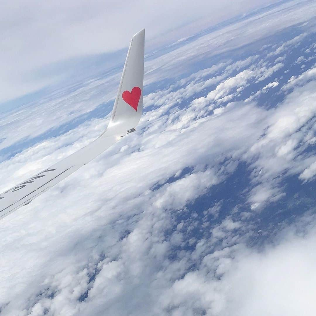 鈴木夏未さんのインスタグラム写真 - (鈴木夏未Instagram)「飛行機に乗るのは久しぶり❤︎  地方遠征している主人と 早く合流したがる息子は  お父さんに早く会いたい！と、はしゃぎ、 空が！雲が！飛行機の翼が！と、感受性豊か、 スマホの待ち受け画面やら、スマホカバーデコやら、 あれこれツボって見せてくれたりしてテンション高め❤︎  確かに雲の流れや景色が 場所によって様々でした  帰りに息子のショルダーバッグを、バスの中に主人が忘れて 我が家はちょっとした大騒ぎになります  ショルダーバッグを預けられたことすら 主人は忘れてたのに  私と息子は、主人に預けたことをしっかり覚えている！  バス会社に問い合わせるとき バッグのなかみは、息子にとって宝物なんだけど トイレットペーパーの芯と、黄色のLEGOと、って話す 主人からしたら申告するのが恥ずかしかったお品でした  ・ ・ ・ #トイレットペーパーの芯  #宝物 #育児日記  #こどものいる暮らし  #飛行機  #こどもと暮らす  #飛行機好きな人と繋がりたい  #息子  #6歳男の子  #小学1年生  #宝物  #主人は忘れてたのに  #忘れ物」8月15日 17時29分 - natyumisuzuki