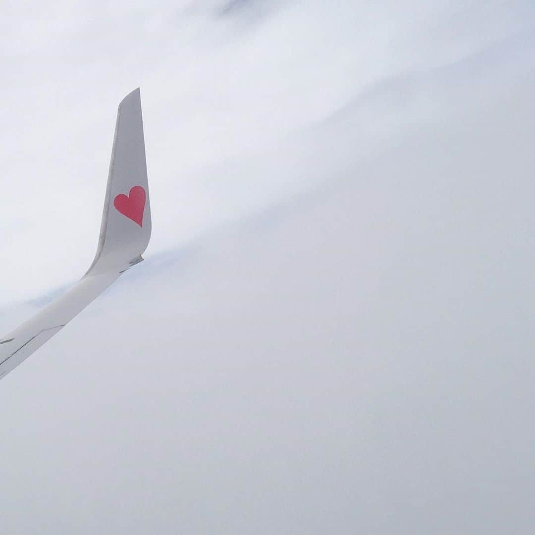 鈴木夏未さんのインスタグラム写真 - (鈴木夏未Instagram)「飛行機に乗るのは久しぶり❤︎  地方遠征している主人と 早く合流したがる息子は  お父さんに早く会いたい！と、はしゃぎ、 空が！雲が！飛行機の翼が！と、感受性豊か、 スマホの待ち受け画面やら、スマホカバーデコやら、 あれこれツボって見せてくれたりしてテンション高め❤︎  確かに雲の流れや景色が 場所によって様々でした  帰りに息子のショルダーバッグを、バスの中に主人が忘れて 我が家はちょっとした大騒ぎになります  ショルダーバッグを預けられたことすら 主人は忘れてたのに  私と息子は、主人に預けたことをしっかり覚えている！  バス会社に問い合わせるとき バッグのなかみは、息子にとって宝物なんだけど トイレットペーパーの芯と、黄色のLEGOと、って話す 主人からしたら申告するのが恥ずかしかったお品でした  ・ ・ ・ #トイレットペーパーの芯  #宝物 #育児日記  #こどものいる暮らし  #飛行機  #こどもと暮らす  #飛行機好きな人と繋がりたい  #息子  #6歳男の子  #小学1年生  #宝物  #主人は忘れてたのに  #忘れ物」8月15日 17時29分 - natyumisuzuki