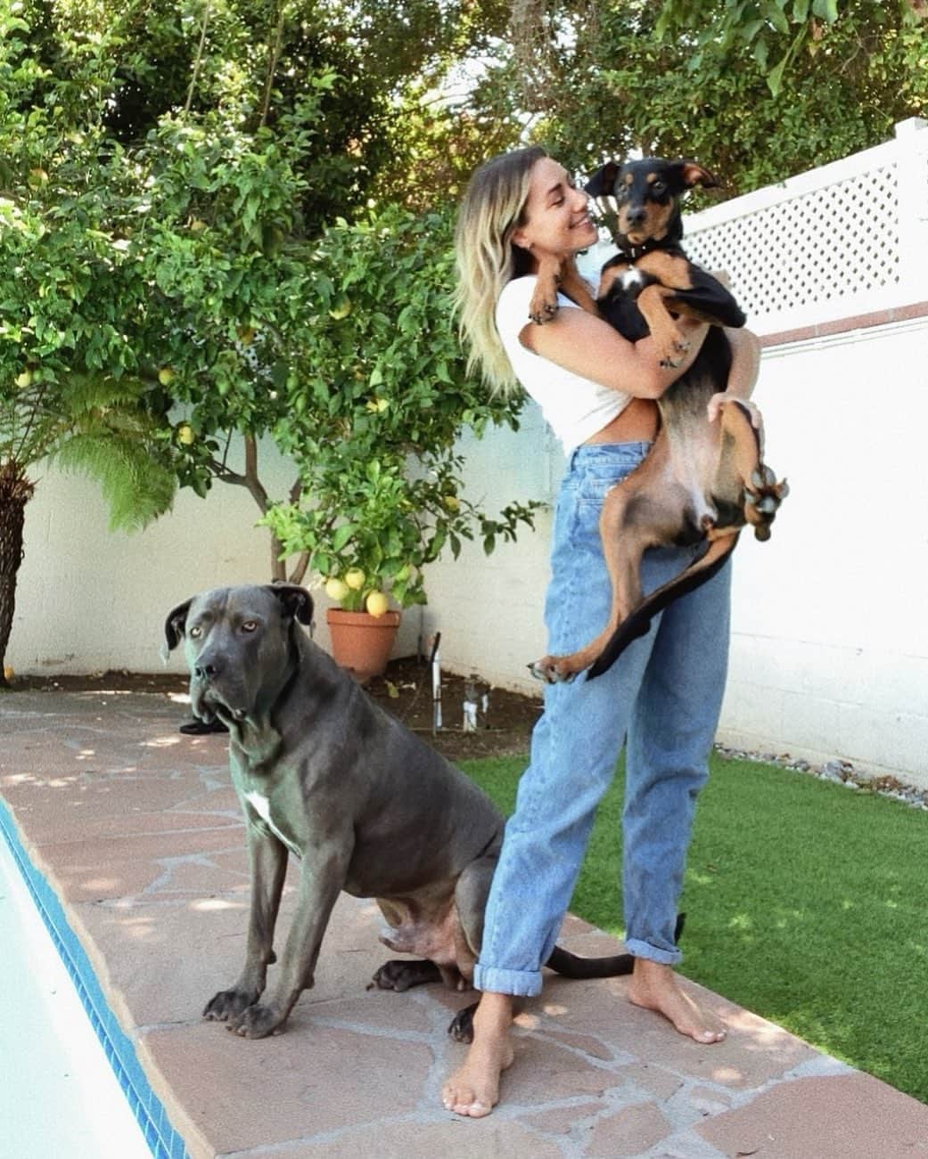 Camden Scottのインスタグラム：「Happy Saturday from me and these two sweet pups 🥺」