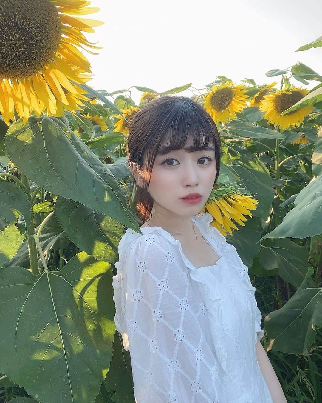 朴木優香里のインスタグラム：「ひまわり🌻」