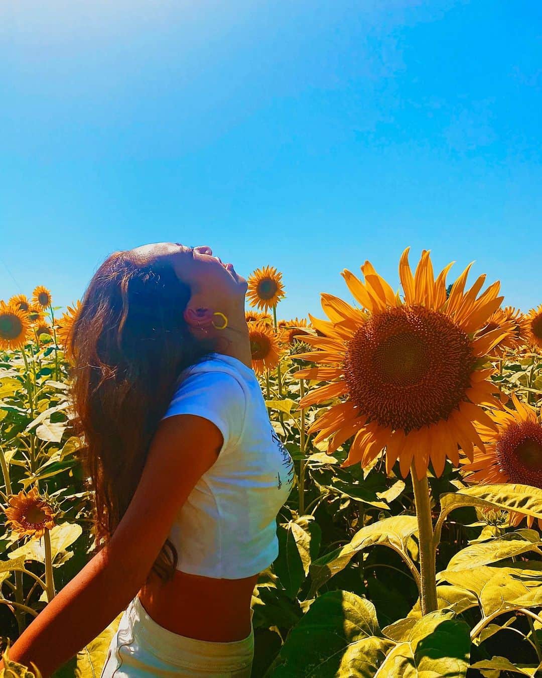 KimuraYuukaさんのインスタグラム写真 - (KimuraYuukaInstagram)「. . . 夏といえば向日葵🌻 The best SUMMER . . #release#instalike #flowerstagram  #summertime #Bluesky」8月15日 20時11分 - kimxxyuka